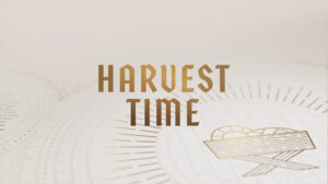 harvest-time