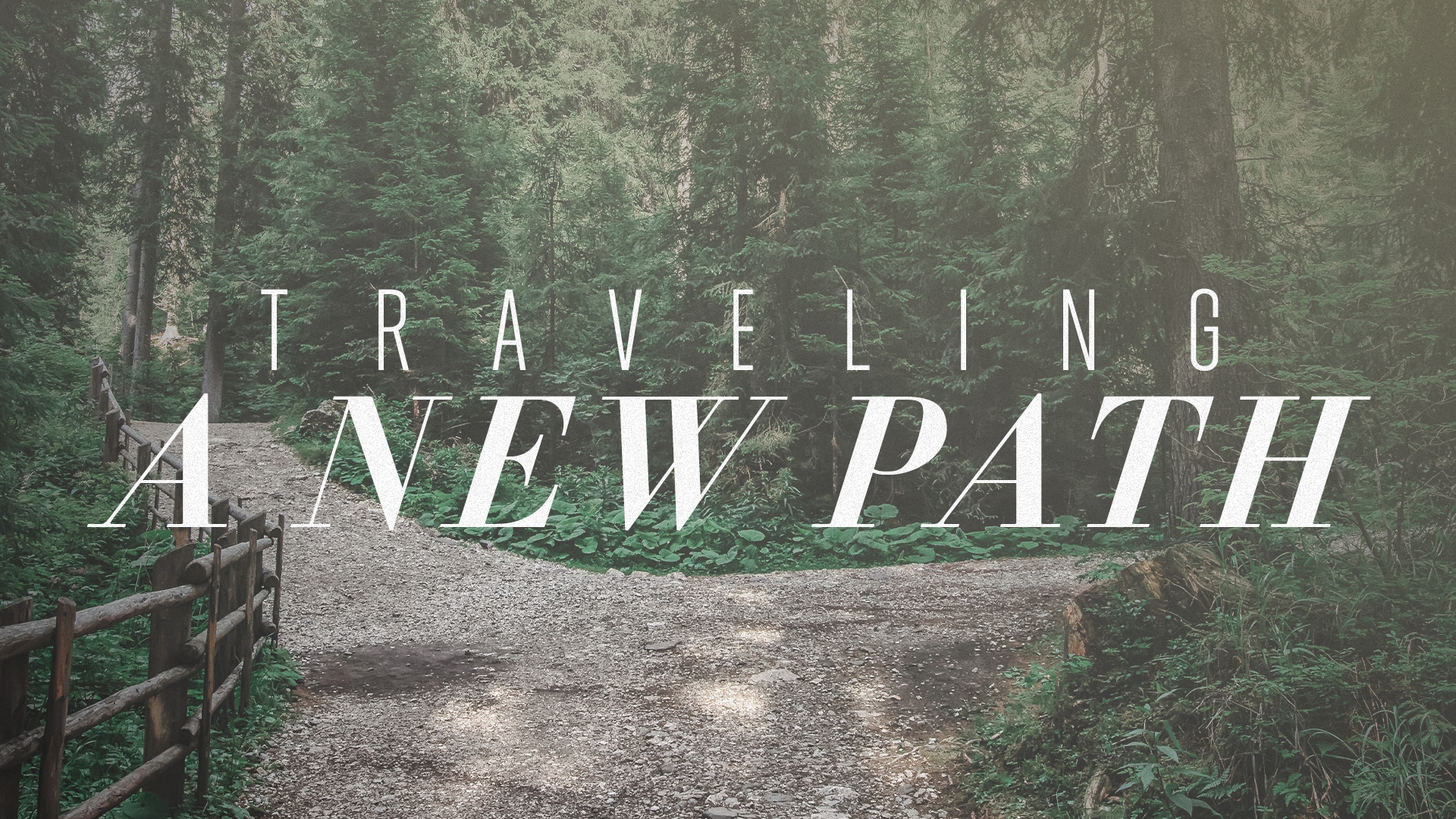 Traveling a New Path