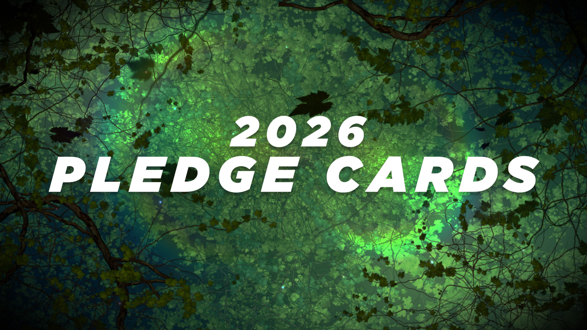 Stewardship 2025